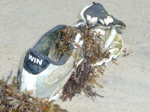 Does the other one say lose?