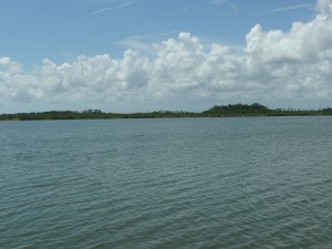 Mosquito Lagoon