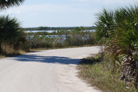 Main road with pull-off just ahead