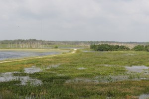 One view from the top of Oyler Overlook
