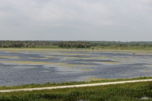 ...and another direction